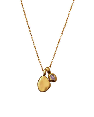 Birthstone Necklace - February
