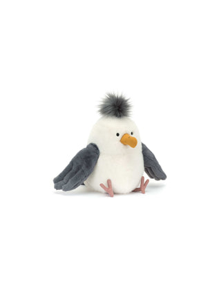Chip Seagull